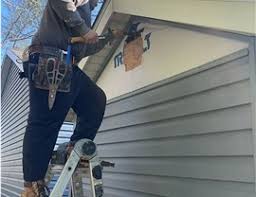 Best Historical Building Siding Restoration  in Donora, PA